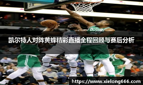 凯尔特人对阵黄蜂精彩直播全程回顾与赛后分析